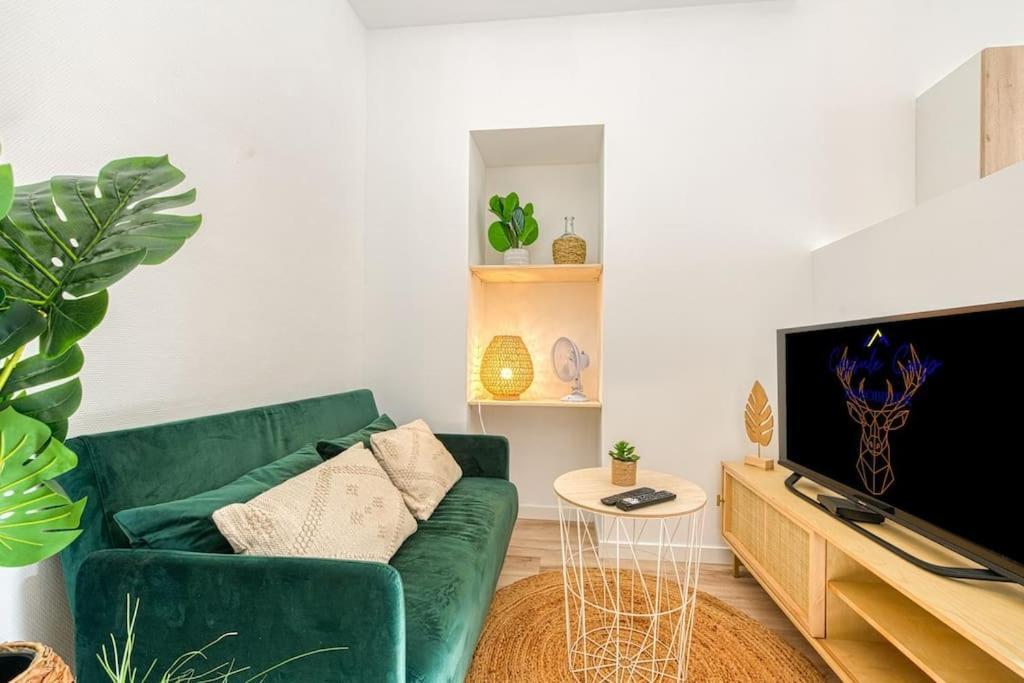 Apartment Esprit Jungle : Equipe, Chambre, Wifi Fibre